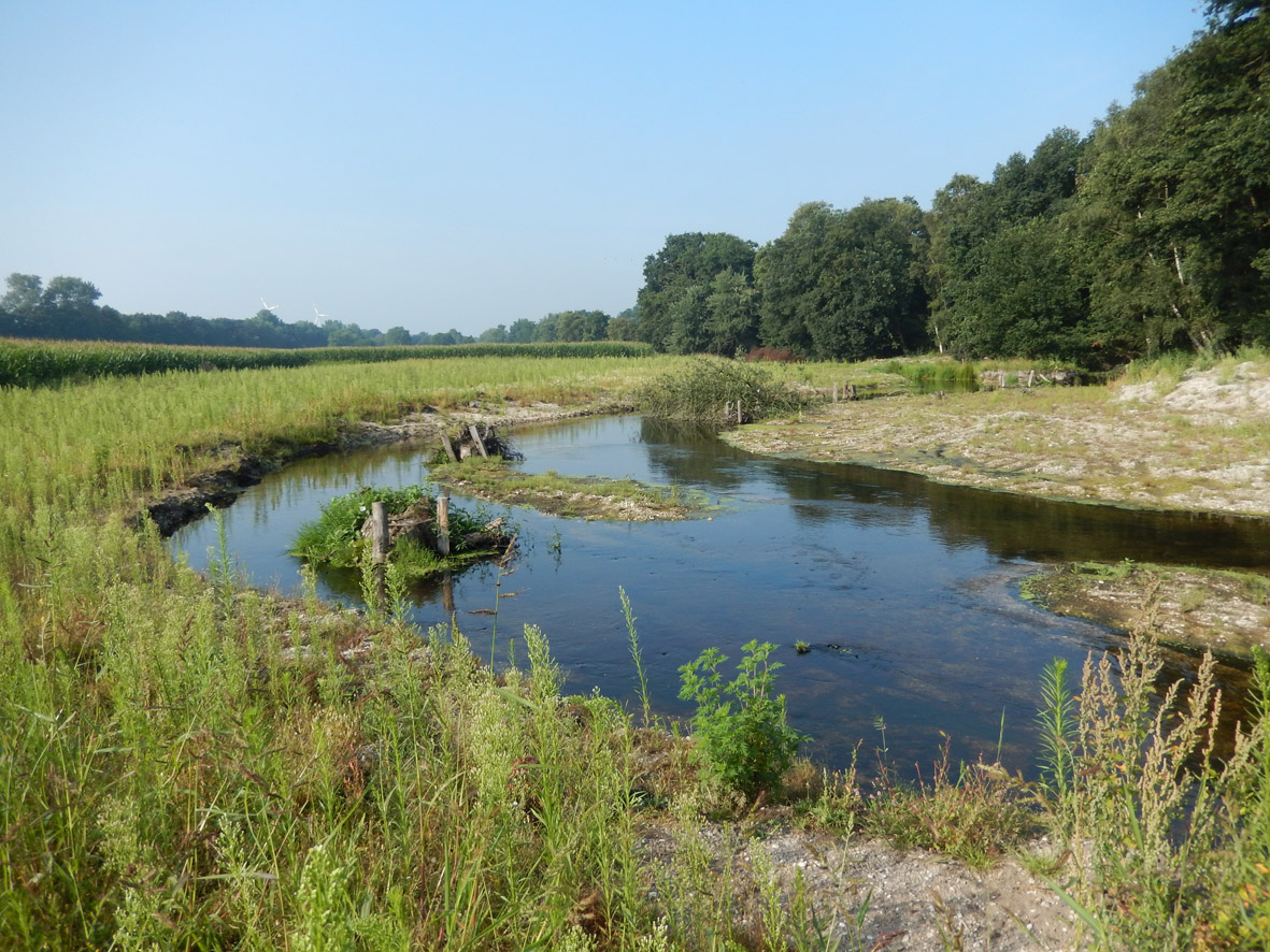 F Vorster Mühle August 2015 Klein